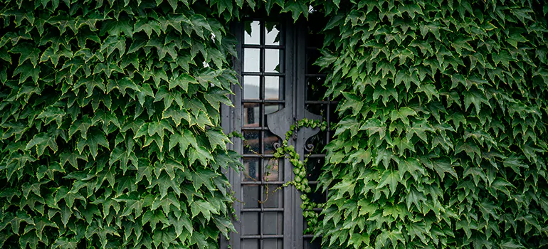 Garden Gate Repair in Rockledge, FL