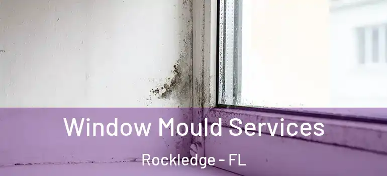  Window Mould Services Rockledge - FL